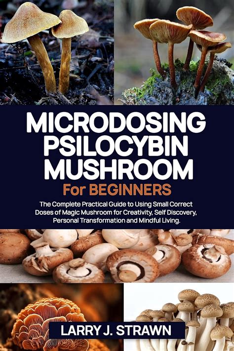 Magic Mushrooms and the Potential for Treating PTSD